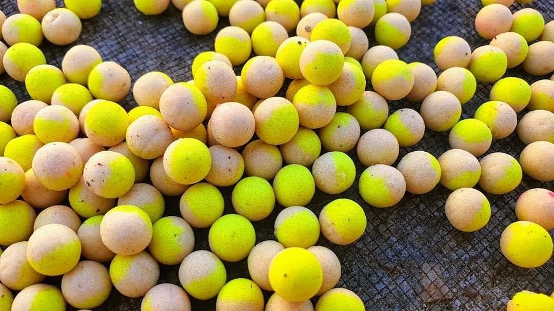 Myon Baits Hybrid Pop Up Catchy Pineapple & N-Butyric 11 mm Myon Baits Pop Up Produse